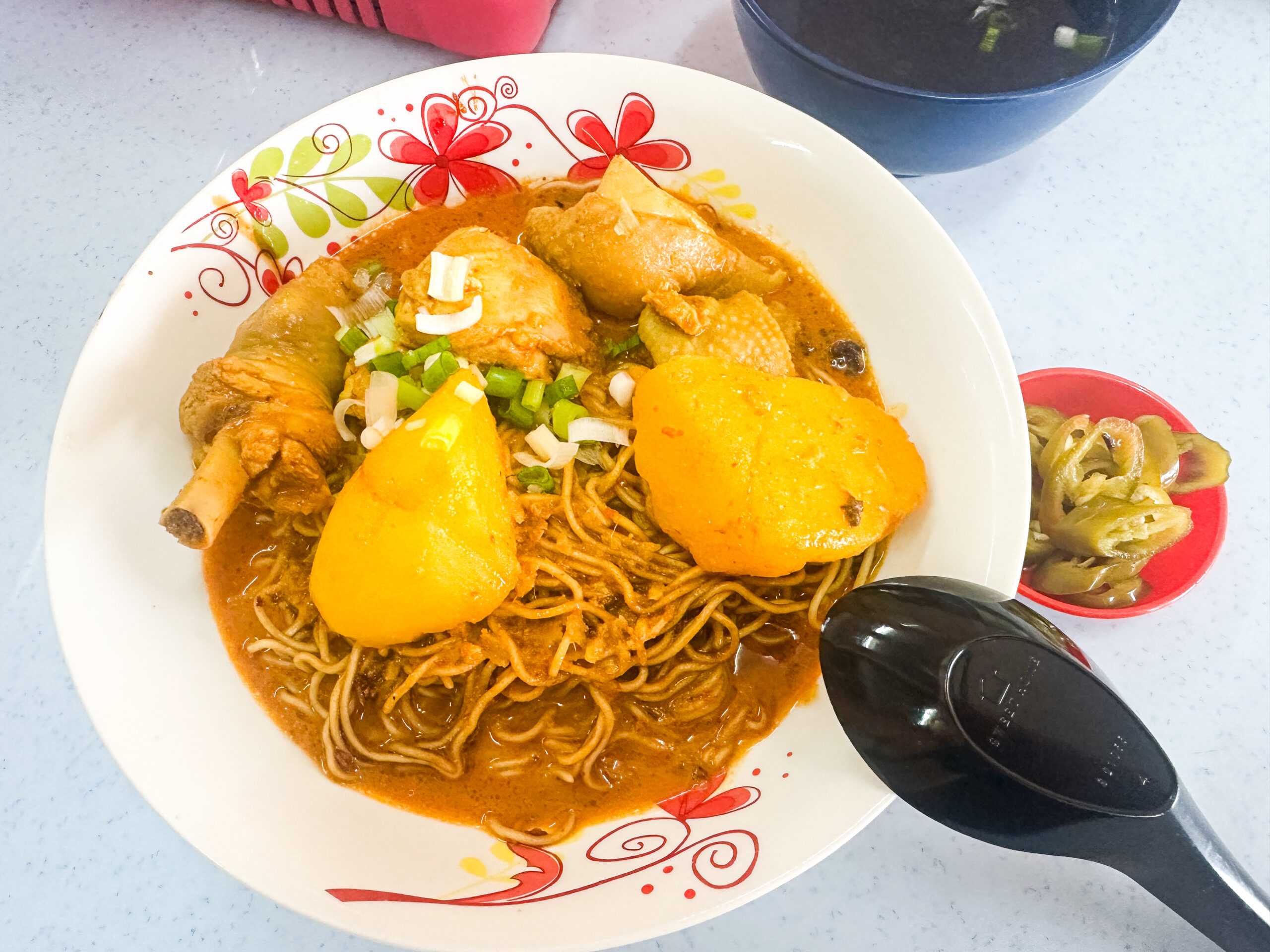 Pappa Fu富爸海南鸡饭
濃厚カレーが絡むマレーシアのドライカレーチキン麺